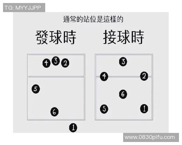 排球盛宴：深入了解杭州排球队的训练与比赛节奏