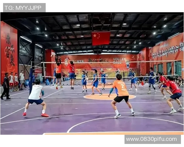 成都排球队的拼搏之路：城市联赛背后的故事与荣耀