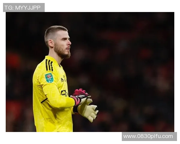 德赫亚：从青涩门将到世界足球明星的辉煌历程与传奇故事