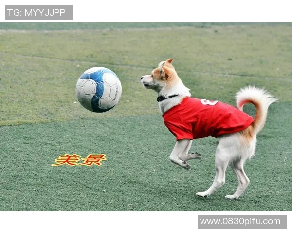 足球明星与狗仔队的追逐战揭秘背后的故事与真相 足球明星与狗仔队的追逐战揭秘背后的故事与真相