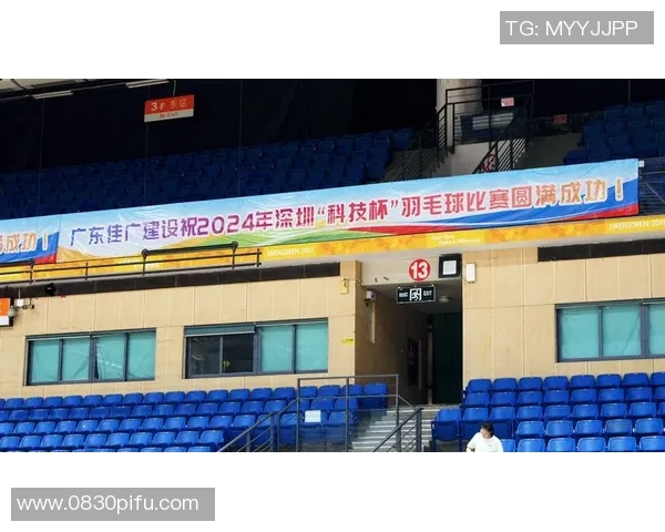深圳羽毛球队实力解析:从训练到比赛的全面剖析与展望 深圳羽毛球队实力解析:从训练到比赛的全面剖析与展望