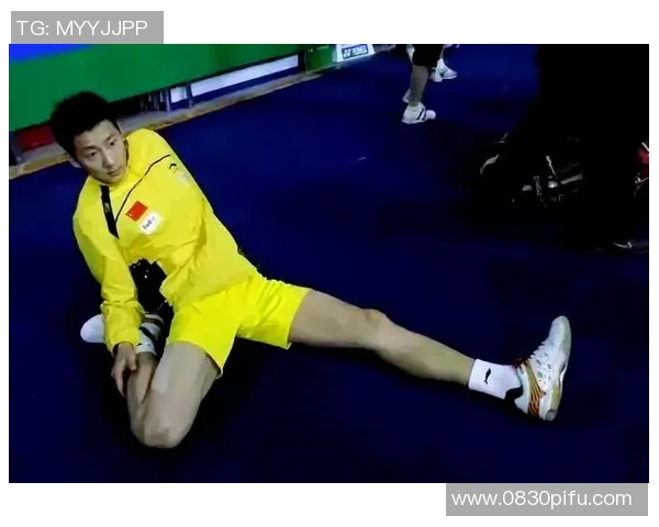 羽毛球的魅力:深入解析北京羽毛球队的灵活战术与训练秘诀 羽毛球的魅力:深入解析北京羽毛球队的灵活战术与训练秘诀