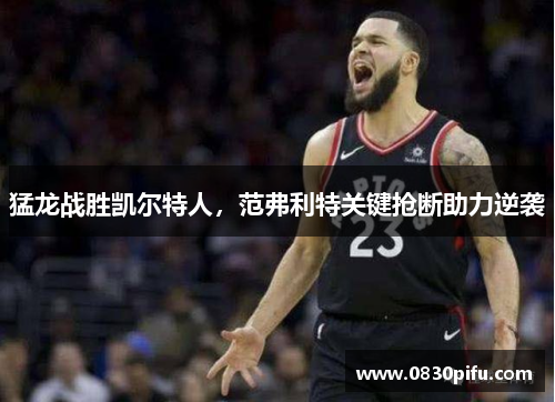 猛龙战胜凯尔特人，范弗利特关键抢断助力逆袭